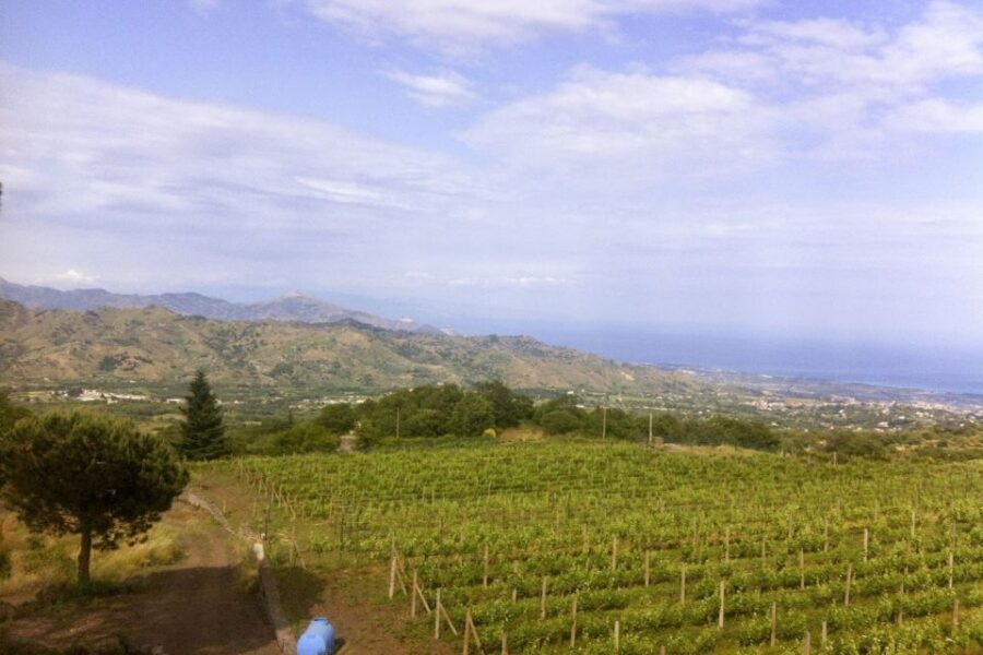 Mt. Etna Private Tour with Food and Wine Tasting - Key highlights worth planning for