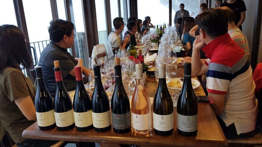 Mt. Etna Private Tour with Food and Wine Tasting - What to wear and how to pace your day (6–7 hours)