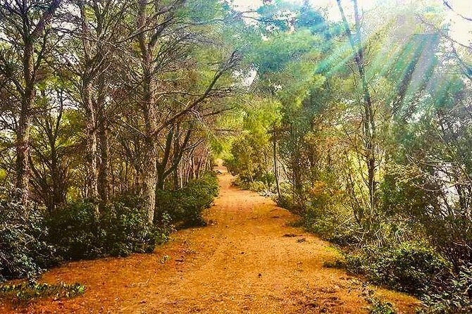 Naturalistic excursion to Ustica - Key Highlights You’ll Actually Feel