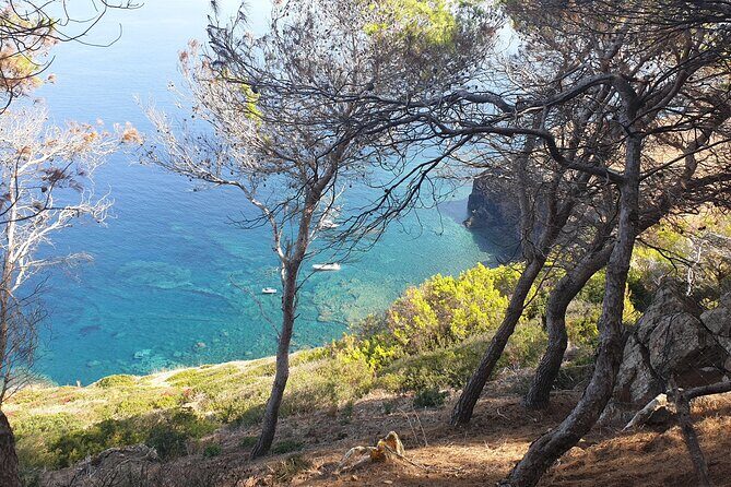 Naturalistic excursion to Ustica - Price, Time, and Value: $17.35 for a Guided Nature/Sunset Experience