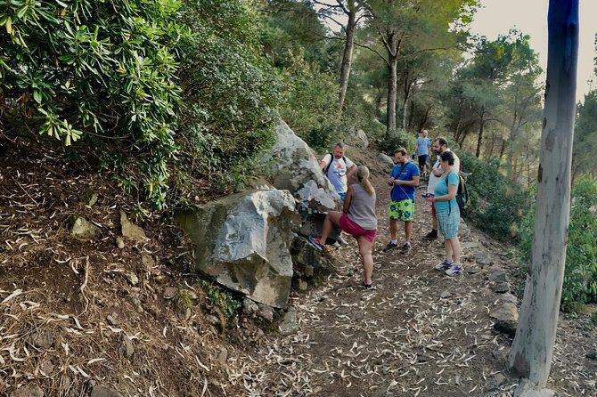 Naturalistic excursion to Ustica - Who This Tour Fits Best (and Who Might Want Another Option)