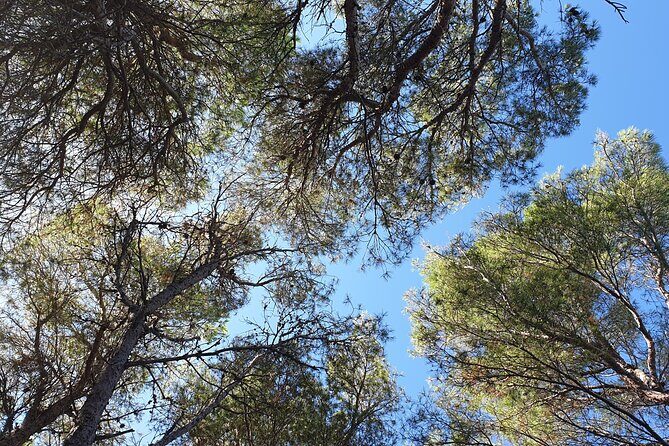 Naturalistic excursion to Ustica - What You’ll Walk Away With (Beyond Photos)