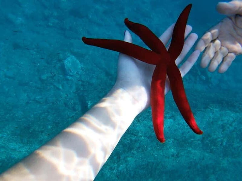 Naxos: Taormina Boat Tour with Snorkeling and Prosecco - Key things I’d clock before you book