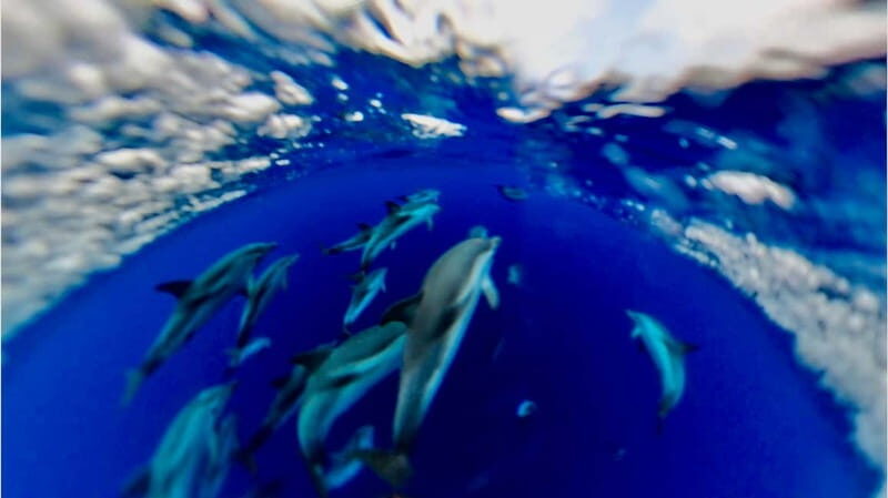 Naxos: Taormina Boat Tour with Snorkeling and Prosecco - Grotta dell’Amore and the Blue Grotto: quick hits, great photos
