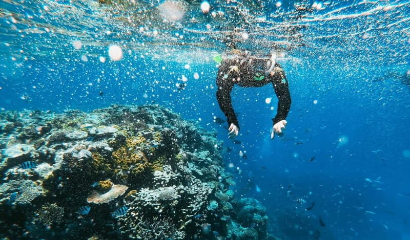 Naxos: Taormina Boat Tour with Snorkeling and Prosecco - White Lotus filming locations: spotting pop-culture without forcing it