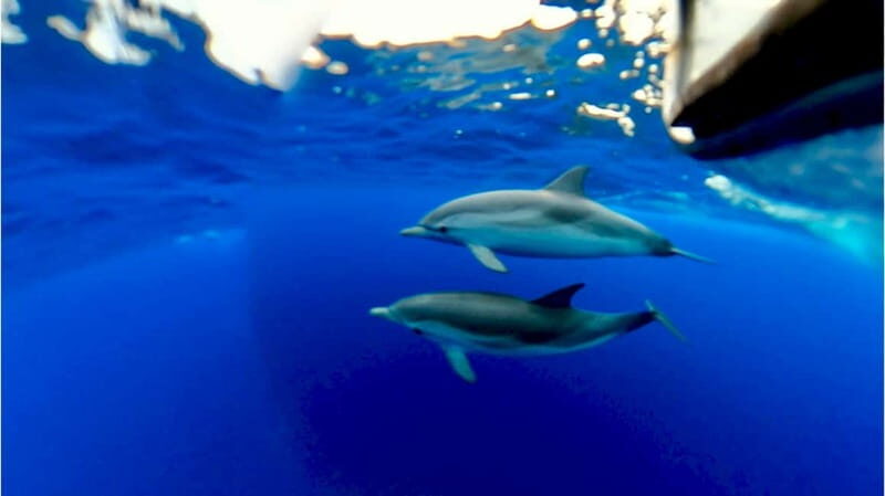 Naxos: Taormina Boat Tour with Snorkeling and Prosecco - Timing and sea conditions: the reality check