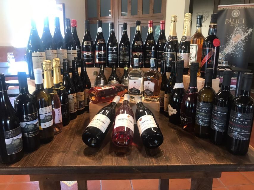 Old Sicily and Etna wine tasting tour from Taormina - Who should book this Etna day trip