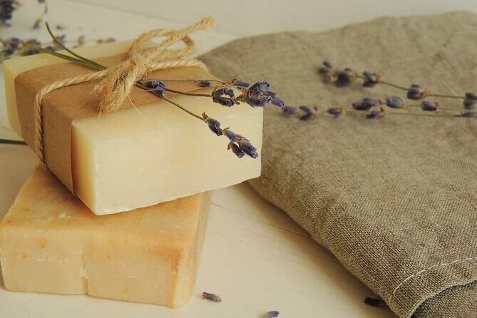 Olive harvest, visit to the oil mill and typical lunch - Key Highlights You’ll Care About