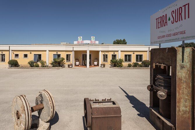 Olive harvest, visit to the oil mill and typical lunch - Inside the Oil Mill: From Harvest to Pressed Oil