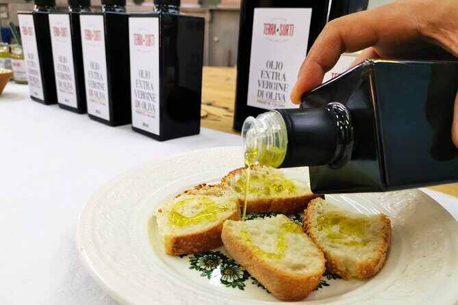 Olive harvest, visit to the oil mill and typical lunch - Oil Tasting: How to Taste Extra Virgin Olive Oil Like a Beginner