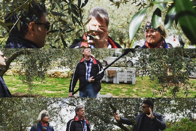 Olive Oil Experience - Inside the 1968 farmhouse: what that old reception teaches you first