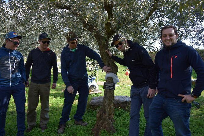 Olive Oil Experience - Guided olive oil tasting: learn to taste and read bottle labels