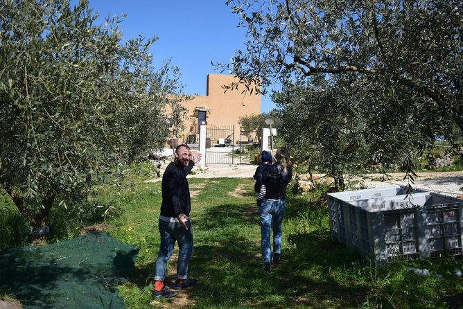 Olive Oil Experience - Should you book Amodeo’s Farm Olive Oil Experience?