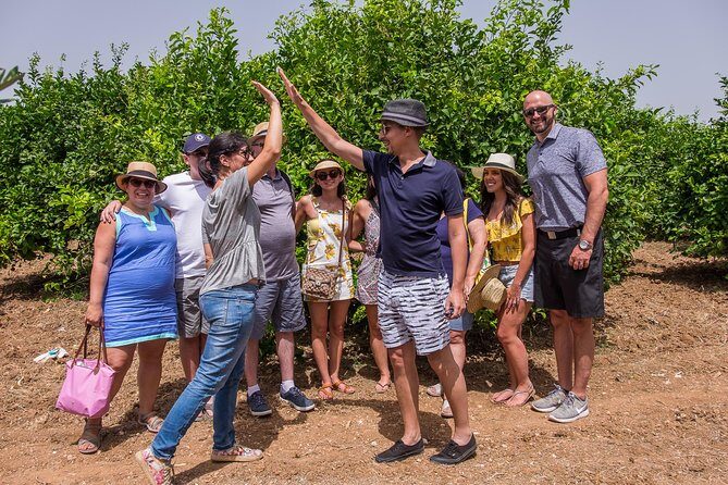 Olive oil tasting in Syracuse, Sicily - Evoo Tour - Weather, timing, and practical expectations for an hour-long visit