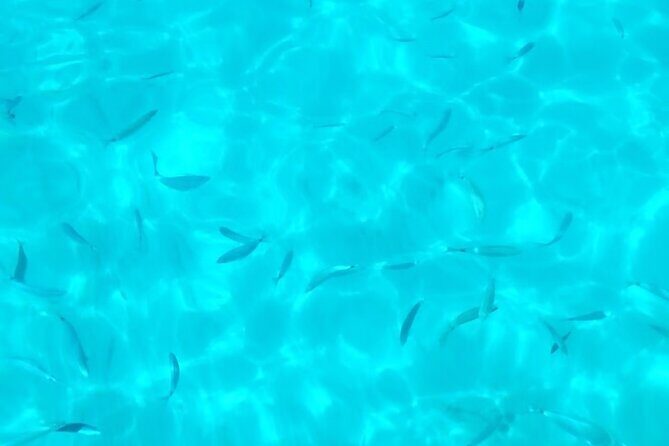 One and a half hour boat excursion to Scala Dei Turchi - Time After the Swim: Commuting and Free Time