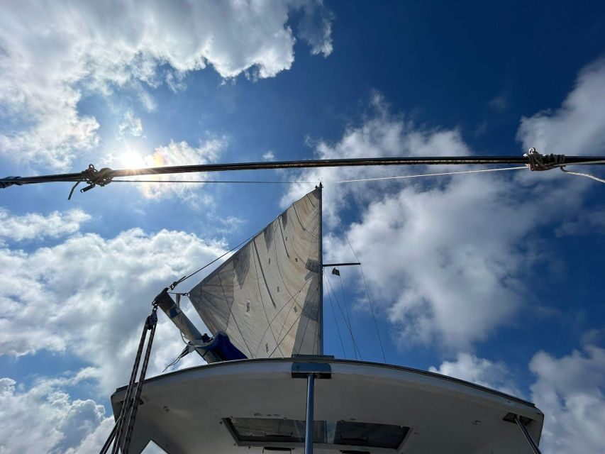Palermo: Full-Day Snorkeling Boat Tour with Lunch and Wine - Key highlights you’ll care about