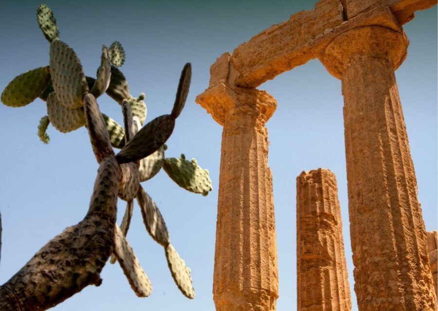 Palermo to Siracusa: stop al Valley of Temples & Roman Villa - Booking advice: how to get the smoothest day