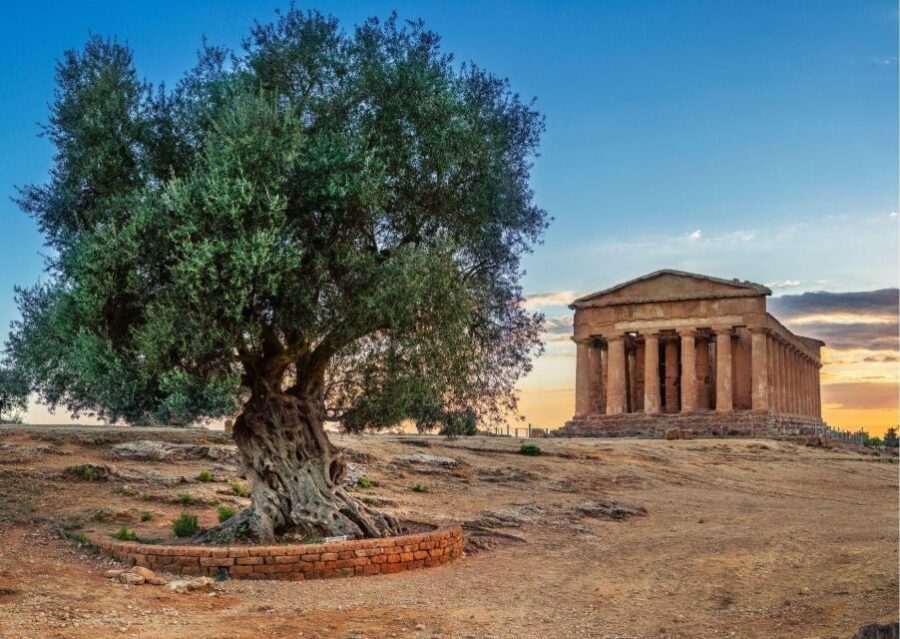 Palermo to Siracusa: stop al Valley of Temples & Roman Villa - What to bring, and small rules that matter