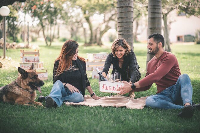 Picnic on the lawn -aromatic garden and winery - The wine cellar and wooden barrels: learning how tasting gets made