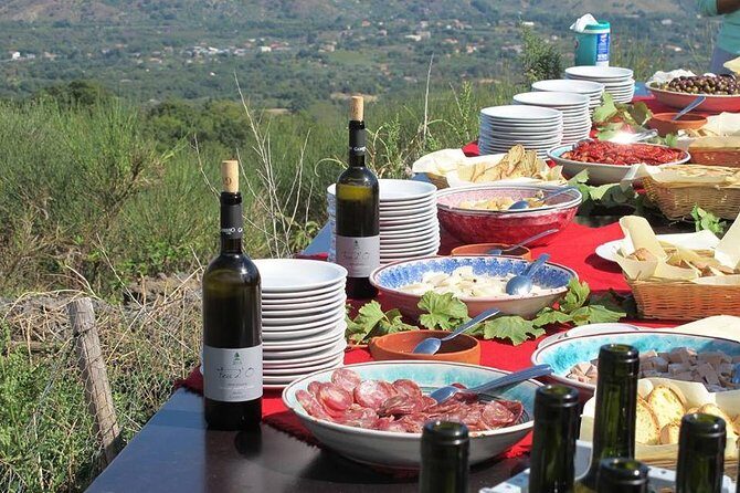 Private 6-Hour Tour of Three Etna Wineries with food&wine tasting - Stop Two: Broader Wine Range With Tagliere and Pasta