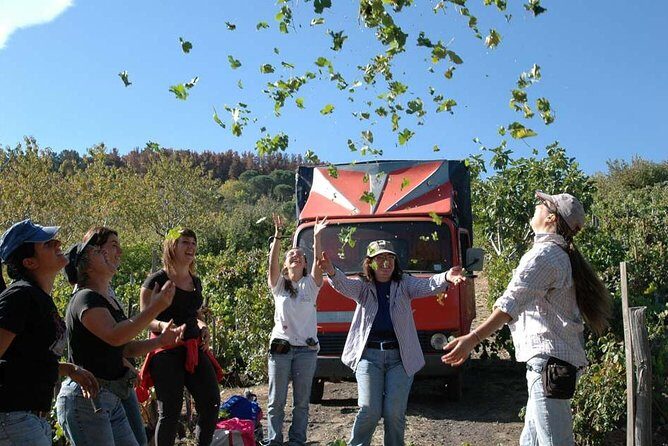 Private 6-Hour Tour of Three Etna Wineries with food&wine tasting - Stop Three: Reds and Whites With Domestic Appetizers and Olive Oil Focus