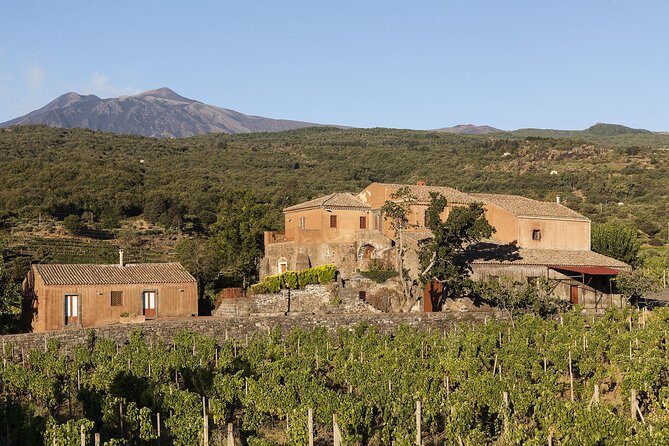 Private 6-Hour Tour of Three Etna Wineries with food&wine tasting - The Real Value: Food, Wine, and the Human Side of Hospitality