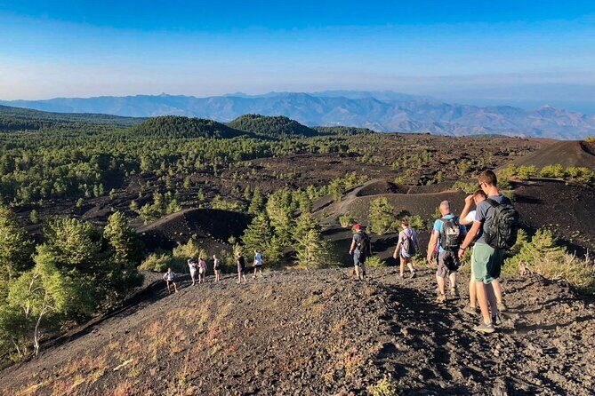 Private and Guided Tour on Etna with Wine Tasting included - Wine tasting expectations: what you should plan for