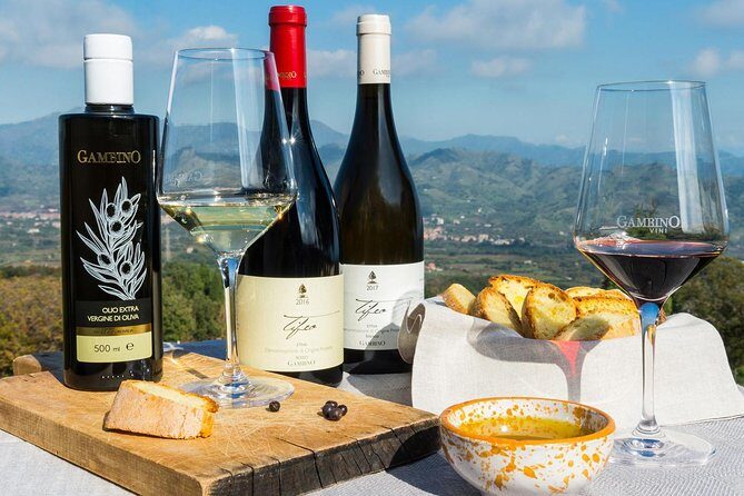 Private Etna tour from Messina Cruise Terminal+ Lunch at Winery - Driving Through Volcanic Sicily En Route to 2000 Meters