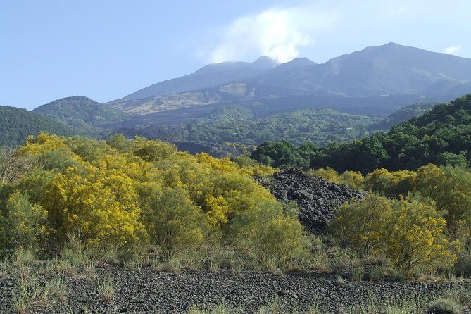 Private Etna tour from Messina Cruise Terminal+ Lunch at Winery - Around Etna: What You’ll See at 2000 Meters