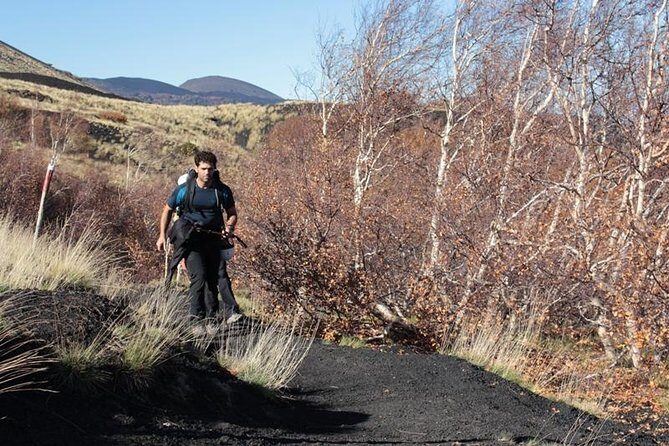 Private Etna Trekking half day tour from Taormina - Price and value: is $343.17 per person fair for this format?
