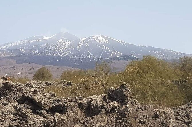 Private Tour from Catania to Etna Naxos and Taormina - Price and Value: Is $149.03 Per Person a Fair Deal?