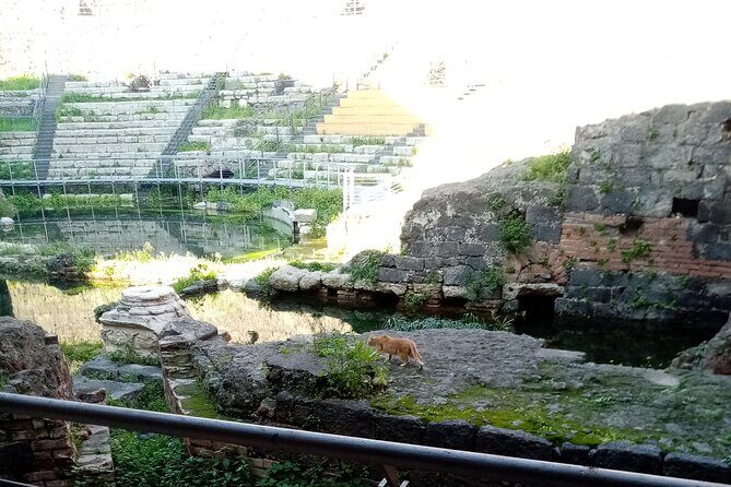 Private tour of Catania and the Riviera of the Cyclops - A private Catania + Cyclops Coast day plan