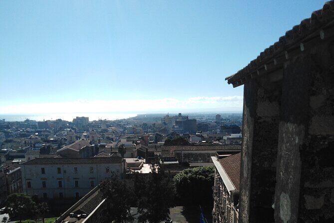 Private tour of Catania and the Riviera of the Cyclops - Who should book this Catania and Riviera dei Ciclopi tour?