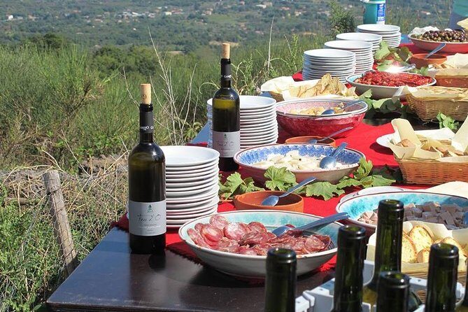 Private tour of Etna and Winery Visit with Food and Wine Tasting from Taormina - Etna winery lunch and tastings: red and white from volcanic soil