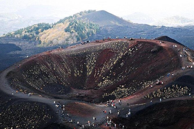 Private tour of Etna and Winery Visit with Food and Wine Tasting from Taormina - Your guide and driver: what the best ones do differently