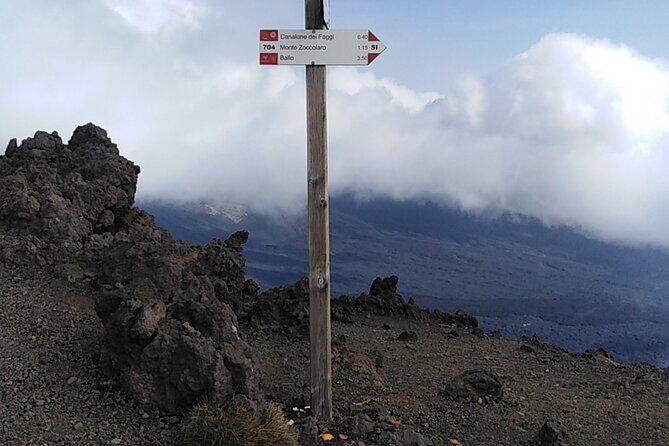 Private tour of Mount Etna and the Alcantara Gorges - The drive up Etna: starting at sea level and climbing near 2000m