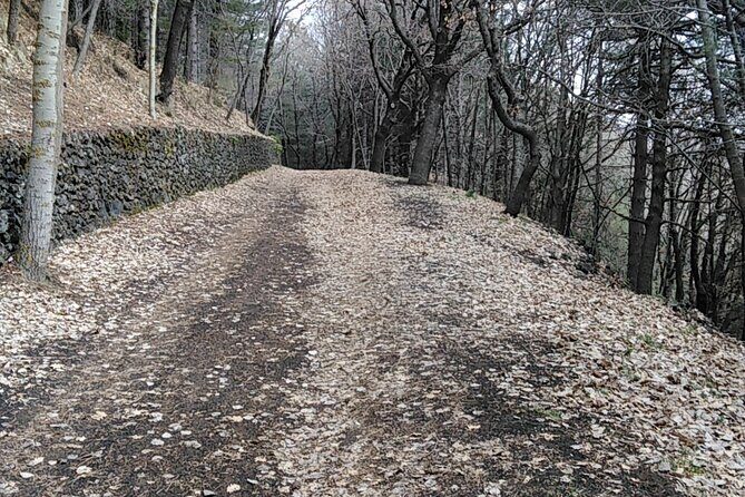 Private tour of Mount Etna and the Alcantara Gorges - Silvestri craters and the walk through the 1669 eruption story