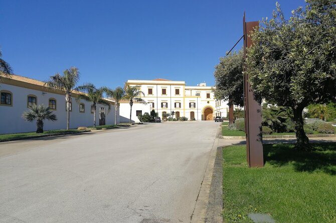 Private Tour to Segesta, Erice and Wine Tasting in Marsala - The Pace: Why 10 Hours Works (and When It Doesn’t)