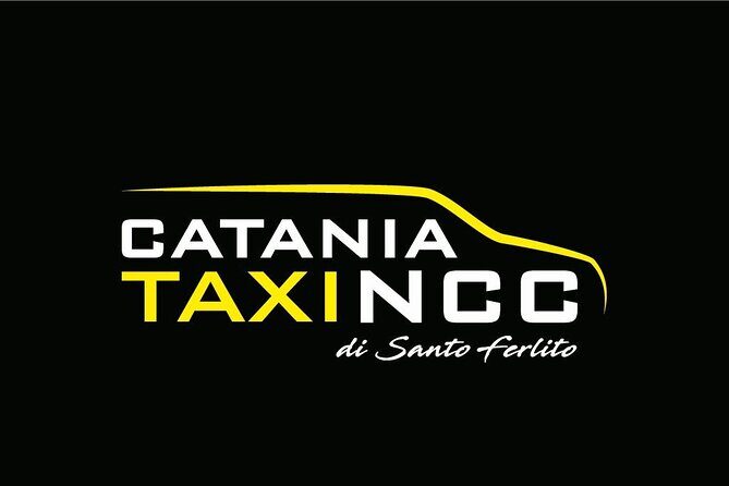 Private Transfer from Catania Airport to Siracusa or Taormina - Who This Transfer Suits Best