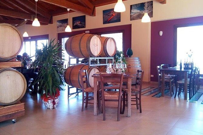 Private visit to the cellars of Etna with wine tasting - Transport on Etna: 4×4 Off-Road and Minivans (Comfort vs. Vibe)