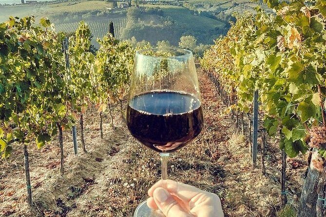 Private visit to the cellars of Etna with wine tasting - Who This Private Etna Wine Visit Fits Best