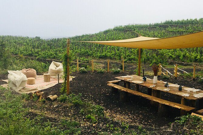 Private Wine and Food Tasting Immersed in Nature in Milo - Key things to know before you go