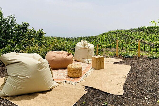 Private Wine and Food Tasting Immersed in Nature in Milo - The Terrace Above Catania: Views, Weather, and Comfort