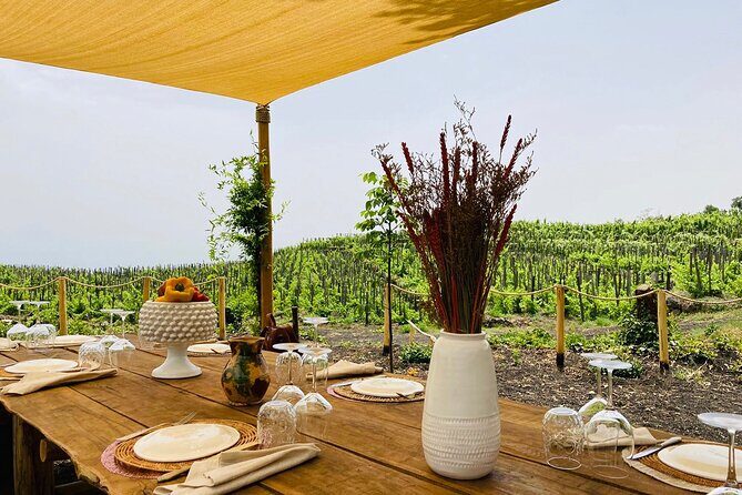 Private Wine and Food Tasting Immersed in Nature in Milo - Your 2-Hour Schedule: What You’ll Do and How It Paces