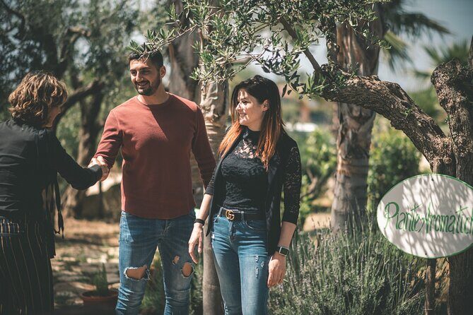 Raccolta delle olive e degustazione vini e olio con brunch ad Alcamo - Wine at the farm and winery stop: how the pairing fits