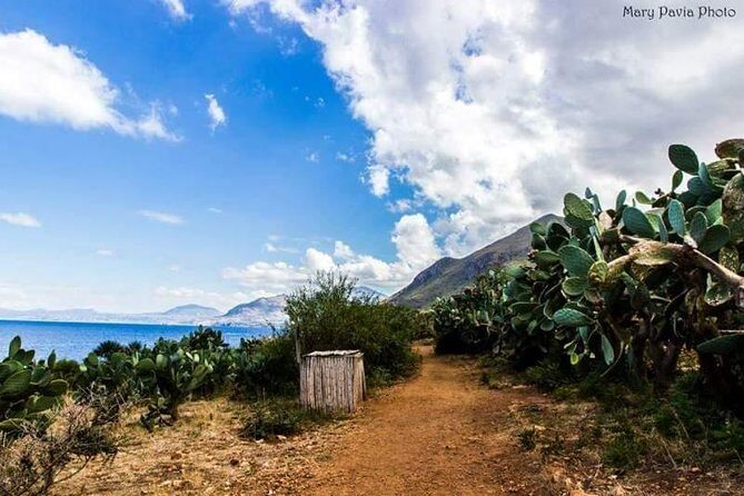 Shuttle Bus Riserva dello Zingaro - In the reserve: what to expect once you’re dropped off