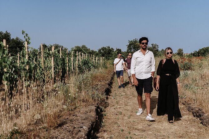Sicilian Lunch with Wine Tasting - Meeting at Etna Urban Winery: what the first 15 minutes do