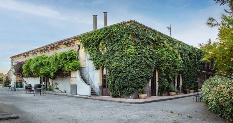Sicilian Soul: Winery Tour, Wine & Food Tasting in Catania - Key takeaways before you go