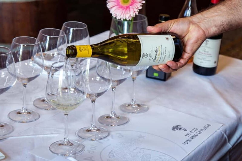 Sicilian Soul: Winery Tour, Wine & Food Tasting in Catania - Who should book this Sicilian Soul tasting?