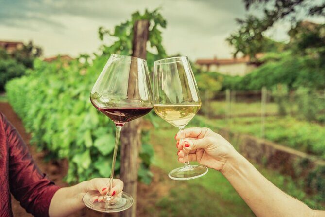 Sicilian Winery Tour with Wine Tasting from Palermo - Who this Sicilia wine tour is best for (and who should skip it)